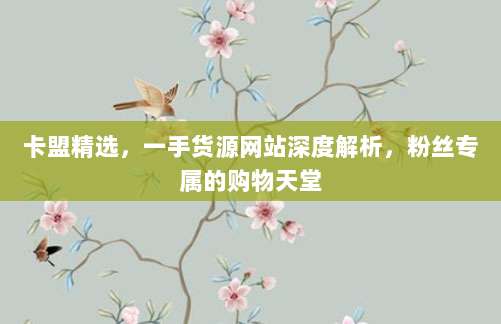 卡盟精选,一手货源网站深度解析,粉丝专属的购物天堂