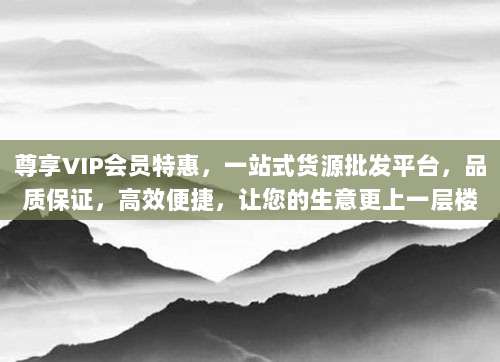 尊享VIP会员特惠,一站式货源批发平台,品质保证,高效便捷,让您的生意更上一层楼