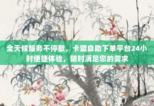 全天候服务不停歇,卡盟自助下单平台24小时便捷体验,随时满足您的需求