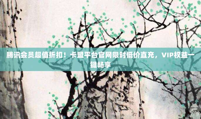 腾讯会员超值折扣!卡盟平台官网限时低价直充,VIP权益一键畅享