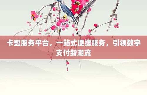 卡盟服务平台,一站式便捷服务,引领数字支付新潮流