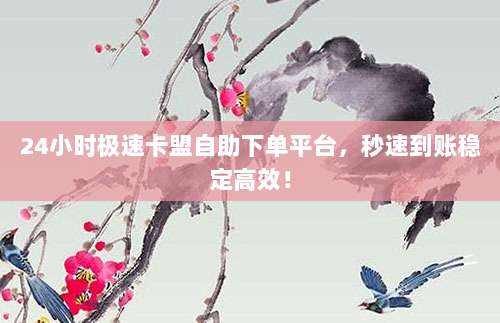 24小时极速卡盟自助下单平台,秒速到账稳定高效!