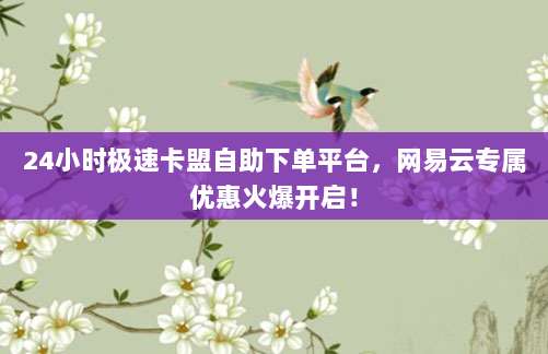 24小时极速卡盟自助下单平台,网易云专属优惠火爆开启!