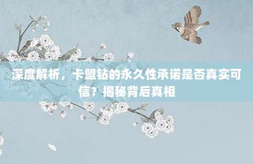 深度解析,卡盟钻的永久性承诺是否真实可信?揭秘背后真相