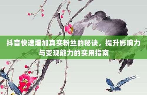 抖音快速增加真实粉丝的秘诀,提升影响力与变现能力的实用指南