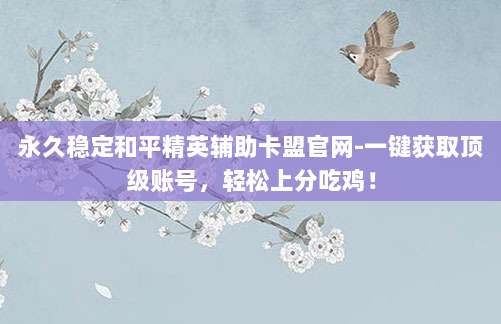 永久稳定和平精英辅助卡盟官网-一键获取顶级账号,轻松上分吃鸡!