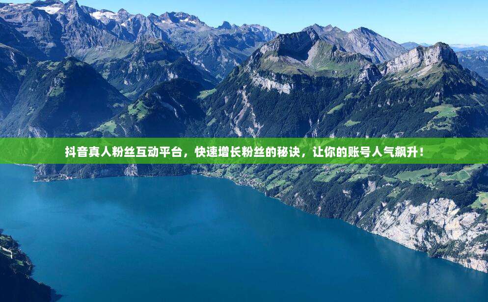 抖音真人粉丝互动平台,快速增长粉丝的秘诀,让你的账号人气飙升!