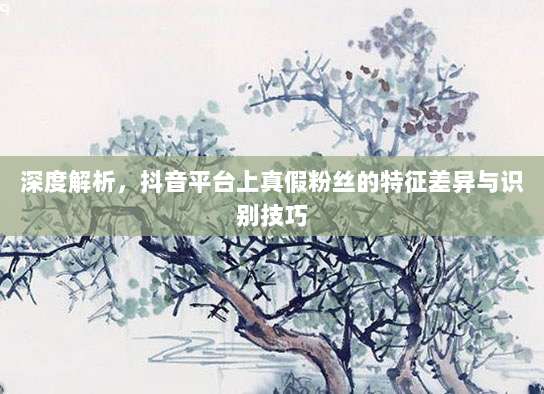 深度解析,抖音平台上真假粉丝的特征差异与识别技巧