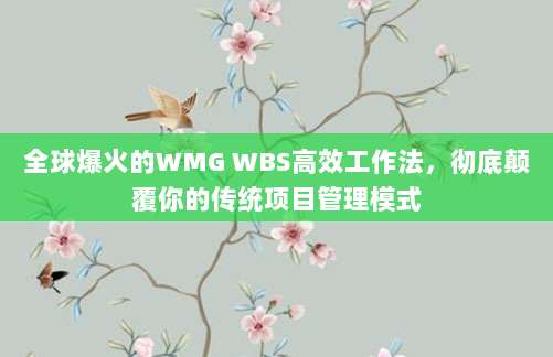 全球爆火的WMG WBS高效工作法,彻底颠覆你的传统项目管理模式