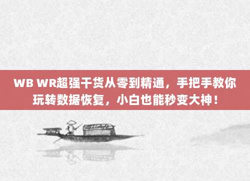 WB WR超强干货从零到精通,手把手教你玩转数据恢复,小白也能秒变大神!
