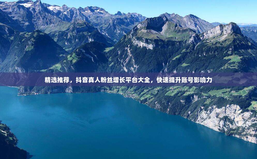 精选推荐,抖音真人粉丝增长平台大全,快速提升账号影响力