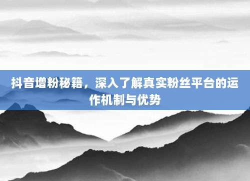 抖音增粉秘籍,深入了解真实粉丝平台的运作机制与优势
