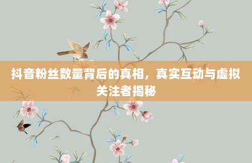 抖音粉丝数量背后的真相,真实互动与虚拟关注者揭秘