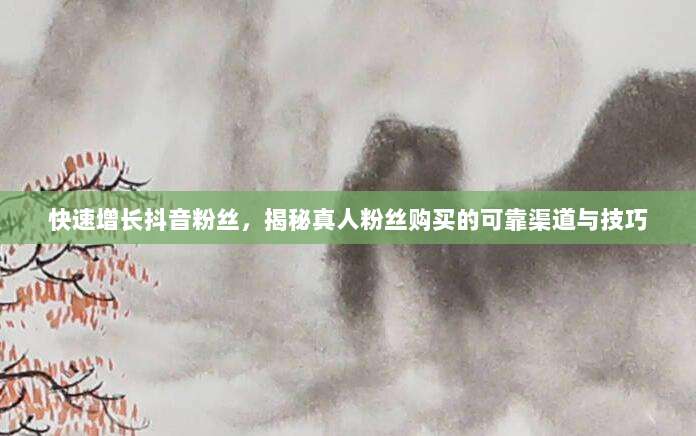 快速增长抖音粉丝,揭秘真人粉丝购买的可靠渠道与技巧