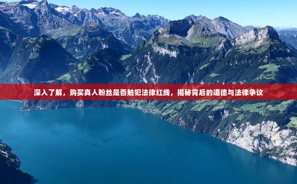 深入了解,购买真人粉丝是否触犯法律红线,揭秘背后的道德与法律争议