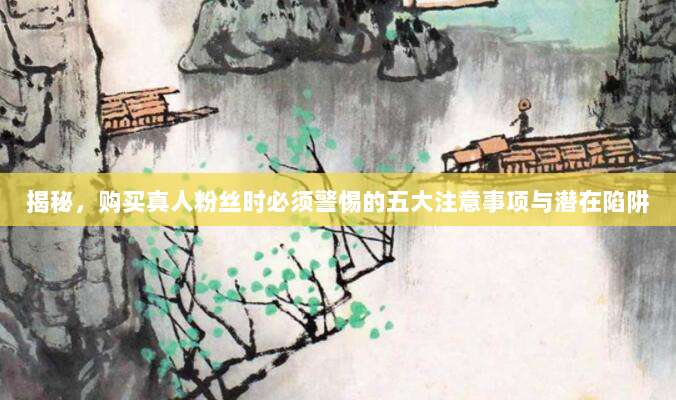 揭秘,购买真人粉丝时必须警惕的五大注意事项与潜在陷阱