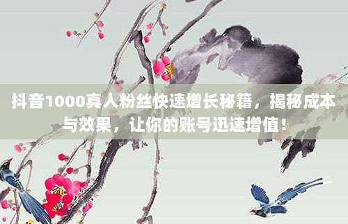 抖音1000真人粉丝快速增长秘籍,揭秘成本与效果,让你的账号迅速增值!