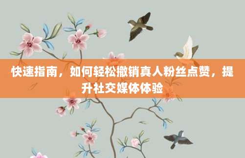 快速指南,如何轻松撤销真人粉丝点赞,提升社交媒体体验