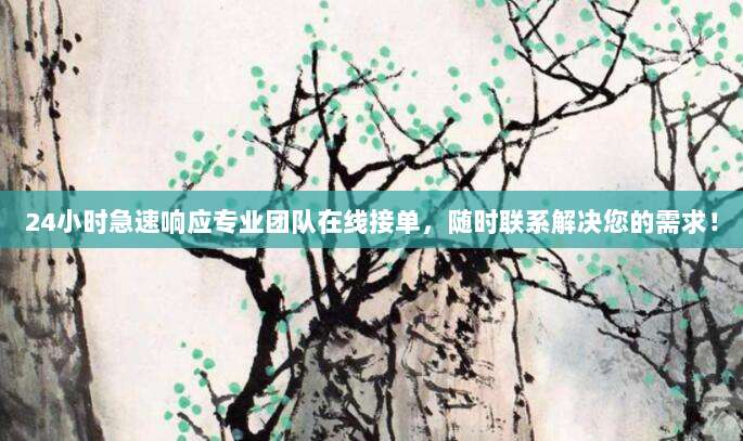 24小时急速响应专业团队在线接单,随时联系解决您的需求!