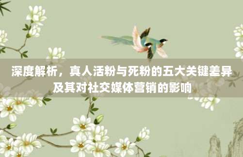 深度解析,真人活粉与死粉的五大关键差异及其对社交媒体营销的影响