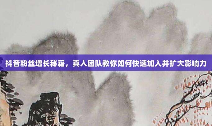 抖音粉丝增长秘籍,真人团队教你如何快速加入并扩大影响力