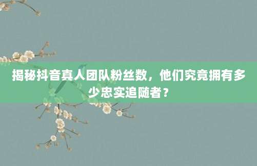 揭秘抖音真人团队粉丝数,他们究竟拥有多少忠实追随者?
