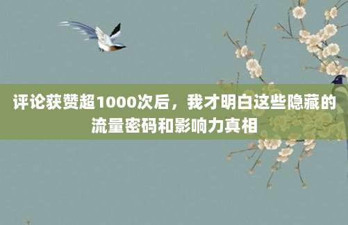 评论获赞超1000次后,我才明白这些隐藏的流量密码和影响力真相