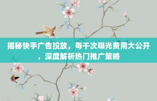 揭秘快手广告投放,每千次曝光费用大公开,深度解析热门推广策略