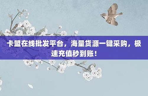 卡盟在线批发平台,海量货源一键采购,极速充值秒到账!