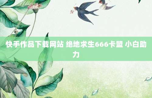 快手作品下载网站 绝地求生666卡盟 小白助力