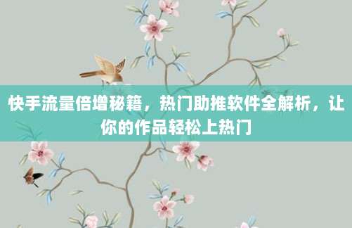 快手流量倍增秘籍,热门助推软件全解析,让你的作品轻松上热门
