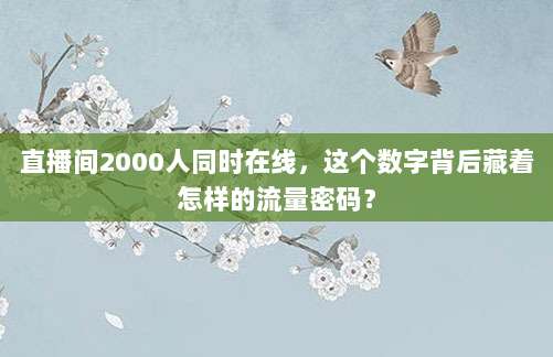 直播间2000人同时在线,这个数字背后藏着怎样的流量密码?
