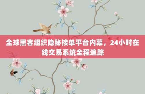 全球黑客组织隐秘接单平台内幕,24小时在线交易系统全程追踪