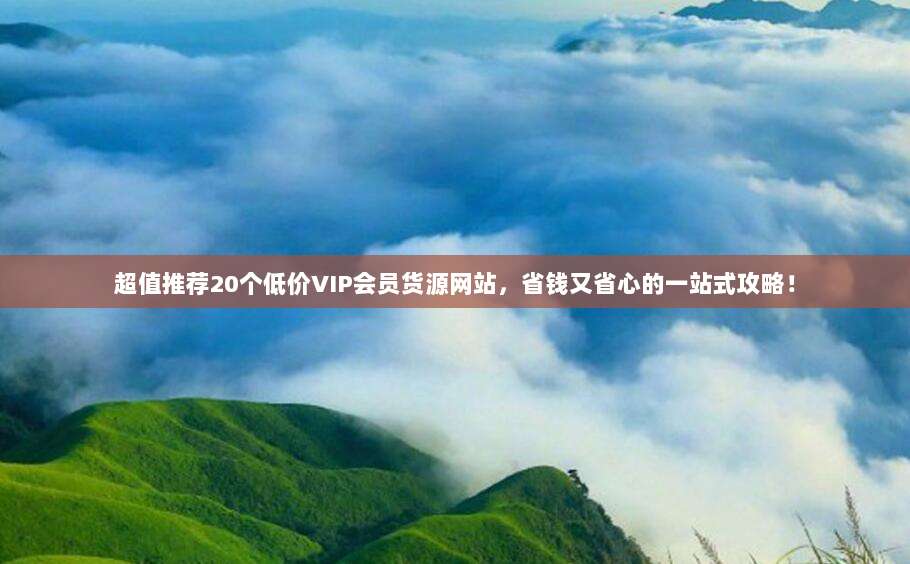 超值推荐20个低价VIP会员货源网站，省钱又省心的一站式攻略！