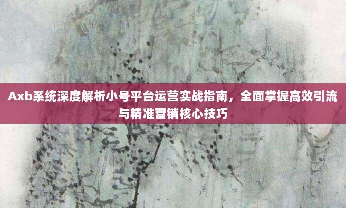 Axb系统深度解析小号平台运营实战指南,全面掌握高效引流与精准营销核心技巧