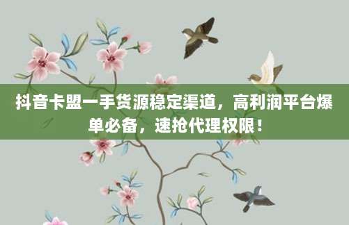 抖音卡盟一手货源稳定渠道,高利润平台爆单必备,速抢代理权限!