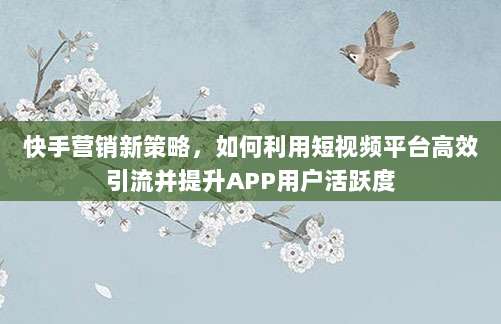 快手营销新策略,如何利用短视频平台高效引流并提升APP用户活跃度