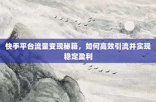 快手平台流量变现秘籍,如何高效引流并实现稳定盈利