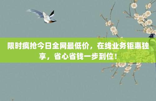 限时疯抢今日全网最低价,在线业务钜惠独享,省心省钱一步到位!