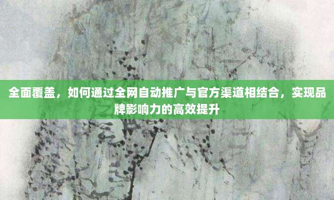 全面覆盖,如何通过全网自动推广与官方渠道相结合,实现品牌影响力的高效提升
