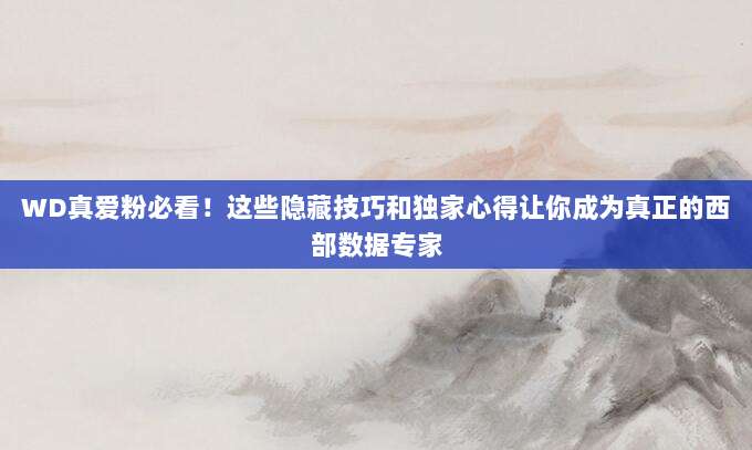 WD真爱粉必看!这些隐藏技巧和独家心得让你成为真正的西部数据专家