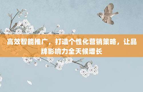 高效智能推广,打造个性化营销策略,让品牌影响力全天候增长