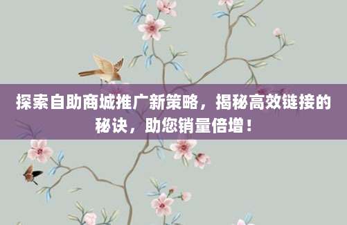 探索自助商城推广新策略,揭秘高效链接的秘诀,助您销量倍增!
