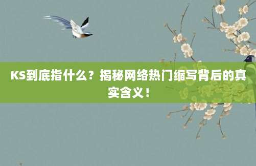 KS到底指什么?揭秘网络热门缩写背后的真实含义!