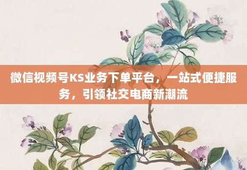 微信视频号KS业务下单平台,一站式便捷服务,引领社交电商新潮流