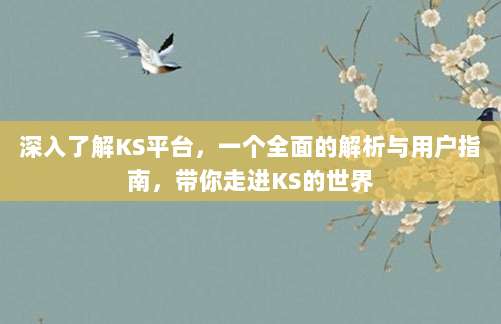 深入了解KS平台,一个全面的解析与用户指南,带你走进KS的世界