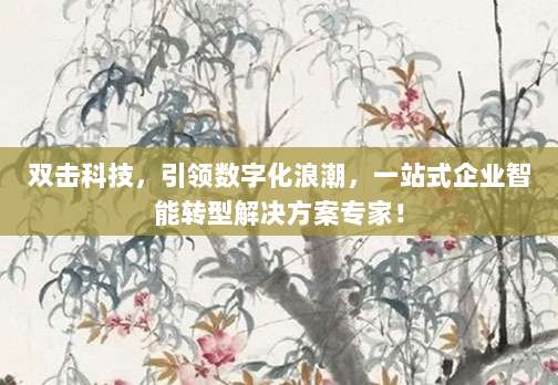 双击科技,引领数字化浪潮,一站式企业智能转型解决方案专家!