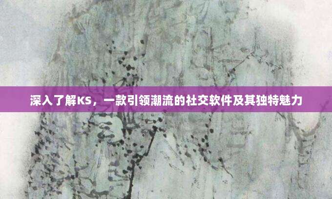 深入了解KS,一款引领潮流的社交软件及其独特魅力