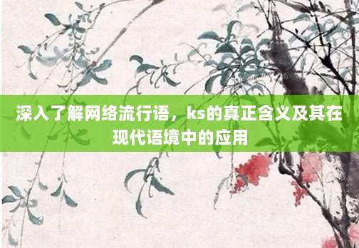 深入了解网络流行语,ks的真正含义及其在现代语境中的应用