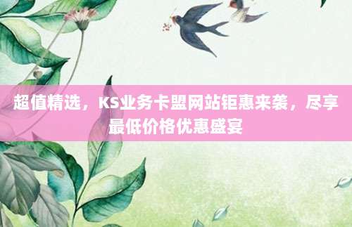 超值精选,KS业务卡盟网站钜惠来袭,尽享最低价格优惠盛宴